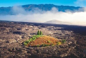 Кипука: как среди вулканов появляются оазисы