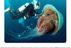 Необычное использование кока-колы (10 фото)