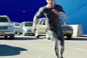 Сцена из "Человека-паука" без компьютерной графики