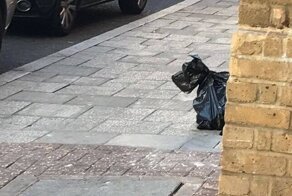 30 вещей, которые оказались для людей полной неожиданностью