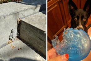 35 человек, которым повезло найти «пасхалки» в реальной жизни