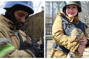Котики, тигры и другие звери: как на Донбассе спасают животных