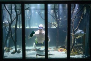 Британец превратил свой дом в гигантский аквариум, потратив на любимое хобби целое состояние