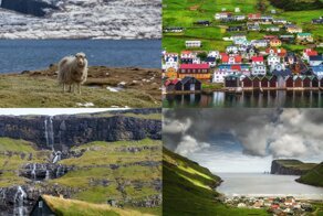 Фарерские острова глазами овец