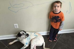 Что бывает, когда дети остаются с питомцами наедине