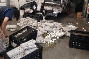 У этих людей день сегодня явно не задался!