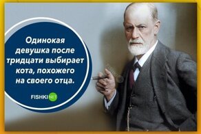Пост о женской логике, собранный мужчиной