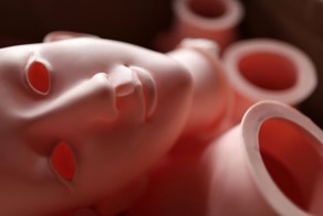 Китайская фабрика по производству секс-кукол (30 фото)