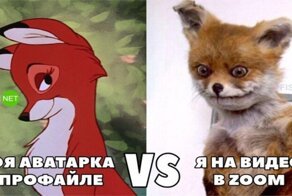 Удалёнка – лучшая и худшая придумка работодателей