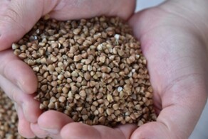 Немецкий фермер объяснил настоящую причину почему в Европе не едят гречку