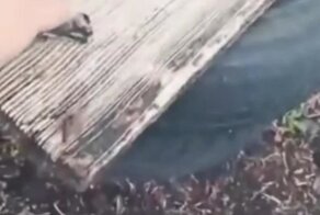 Дорогая, познакомься с Олегом