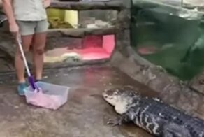 Работа для желающих быстро сбросить вес