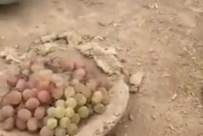 Древний способ хранения винограда, благодаря которому он остаётся свежим полгода