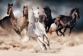 От Горбунка до Росинанта: самые знаменитые лошади мира литературы