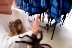 Типичное детство в Австралии