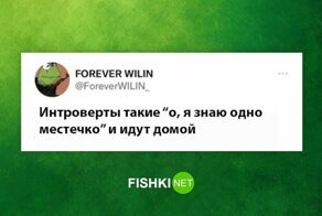 Когда ты не социфоб, а просто не любишь общаться