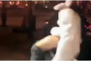 Пасхальный кролик подрался с незнакомцем на улице