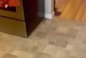 Не стоит верить всему в интернете