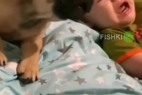 Друг всегда поддержит