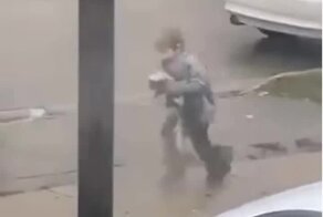 Мальчик нашёл на улице нового питомца