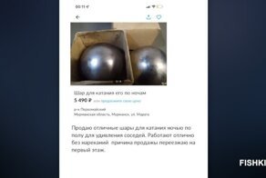 Злободневное: самое убойное из жизни соседей