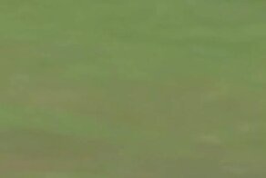 Впечатляющий удар гольфиста