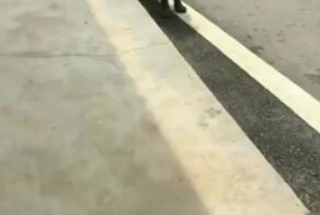 Хозяйственный рыболов-любитель