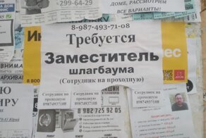 Смешные и необычные вакансии