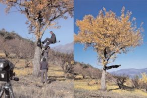 Отрицая гравитацию (16 фото)