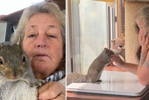 Женщина подобрала дикого бельчонка и построила ему джунгли в своем доме