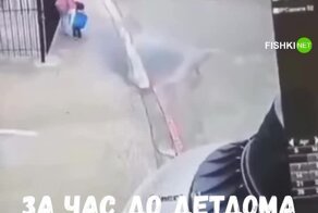 Звуки детдома строгого режима