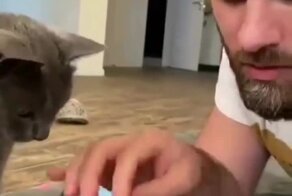 Полезный кошачий "кусь"