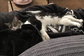 18 фотографий, которые можно смело причислить к оптическим иллюзиям