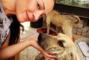 Женщина ухаживает за десятками собак, которые остались без дома
