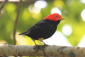 Самая идеальная лунная походка