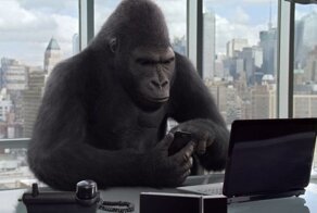 Обезьяны лучше справляются с зависимостью от смартфонов, чем люди