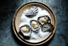 Почему кувейтских ресторанах запрещено подавать нераскрытых устриц