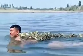 Теперь ты наш папа: птенцы купаются вместе с мужчиной