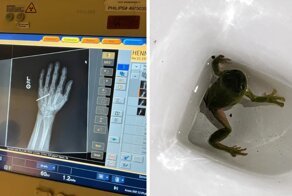 20 человек, чей день серьезно не задался