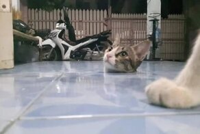 28 снимков, сделанных с неожиданного ракурса