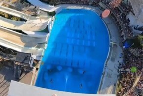 Прыжок в воду с вышки от первого лица
