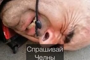 В Набережных Челнах местные жители поймали педофила и устроили над ним самосуд