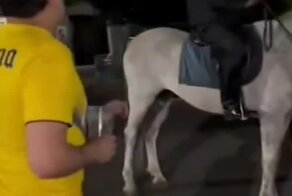 Товарищ полицейский, разрешите погладить