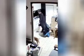 Котокатастрофа: хвостатые свалили хозяина