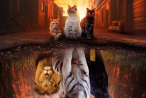 Говорят, курс рубля ненастоящий