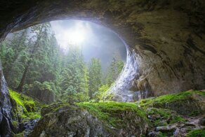 Карстовая яма с первобытным лесом: реальность или выдумка