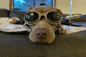 8 человек, которые стали миллионерами, реализовав совсем глупые, казалось бы, идеи