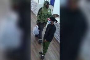 Воры похитили из зоомагазина щенка французского бульдога
