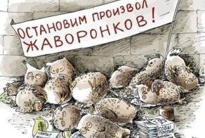 Сова, жаворонок или козодой: какой хронотип самый полезный и популярный