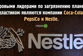 Жутковатые факты о пластиковом мусоре